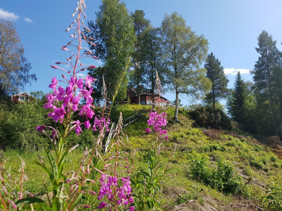 Bjoernforsens Turist & Konferenshotell, Naera Husum, Oernskoeldsvik Bjorna Buitenkant foto