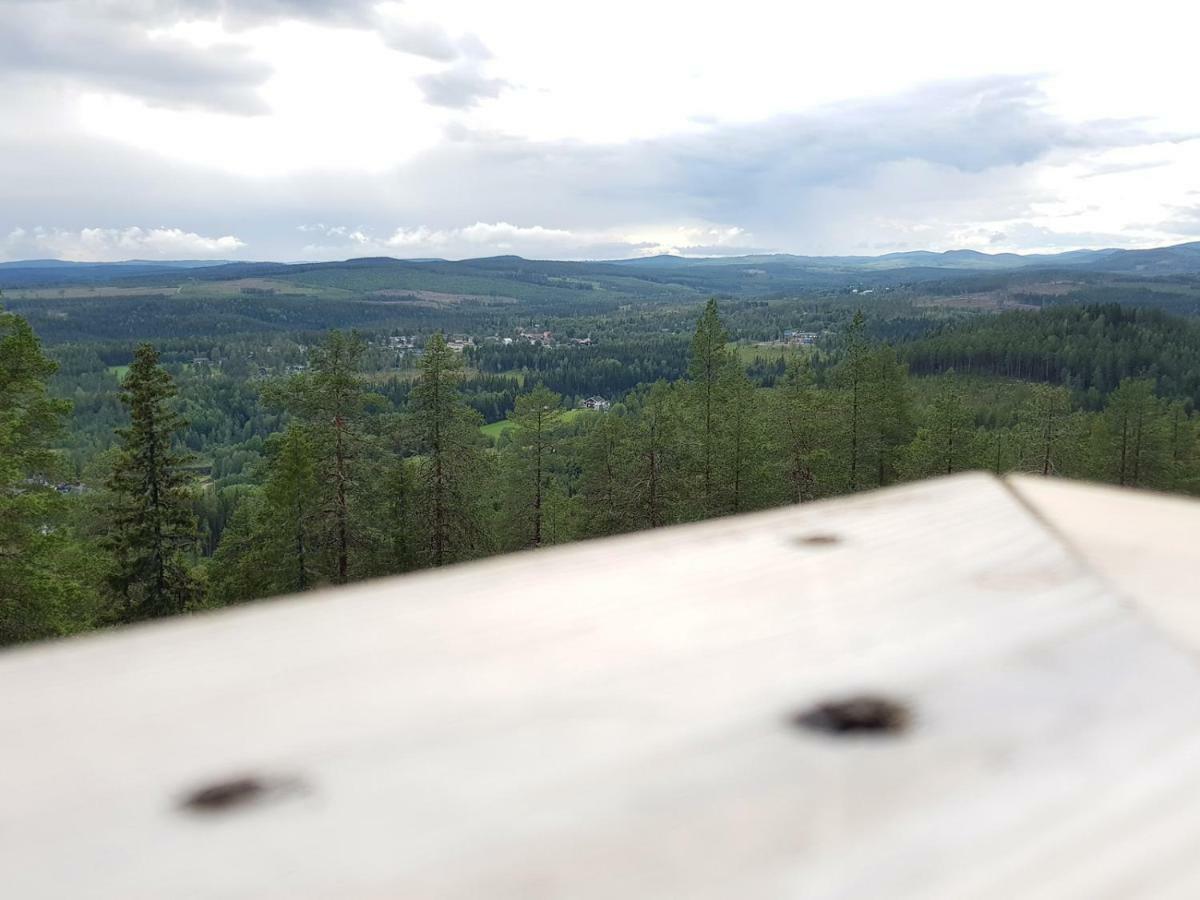 Bjoernforsens Turist & Konferenshotell, Naera Husum, Oernskoeldsvik Bjorna Buitenkant foto